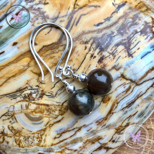 Classical Petrified Wood Earrings